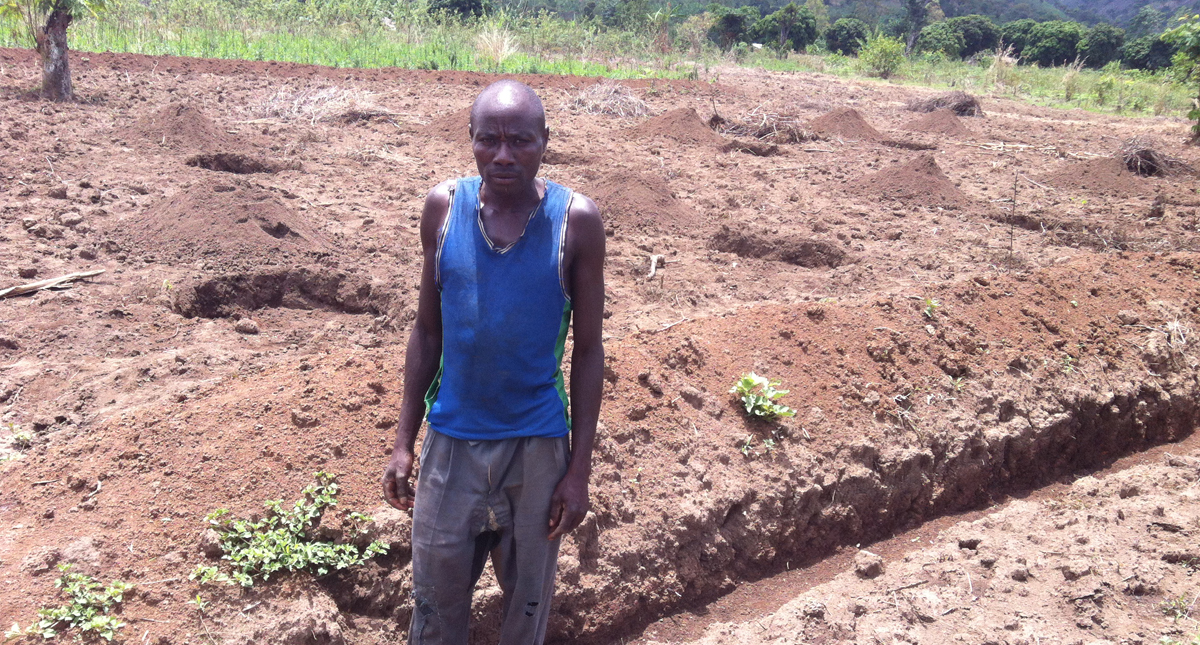 Burundi Farmer improves banana yield with compost Barza Wire