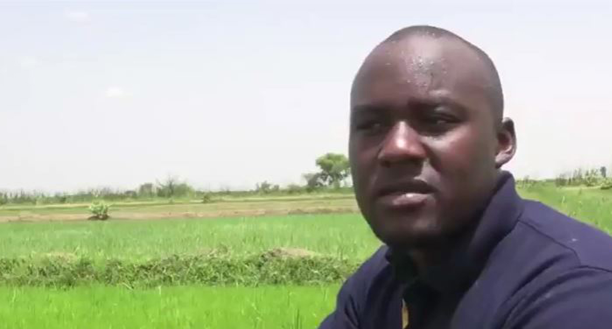 Mali  Premiers pas d’une entreprise agricole (Agribusiness TV)  Barza