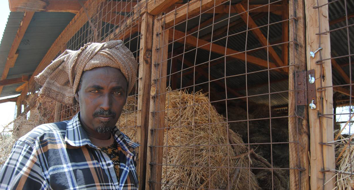 Kenya Herders profit from selling surplus hay (Trust) Barza Wire