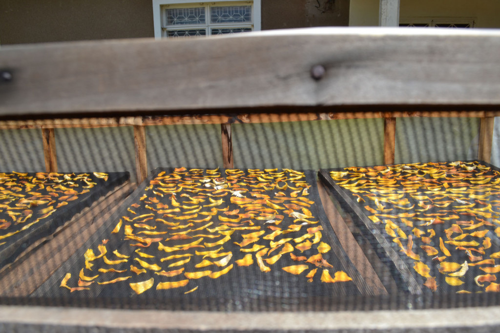 Tanzania Farmers improve health by drying fruit with solar