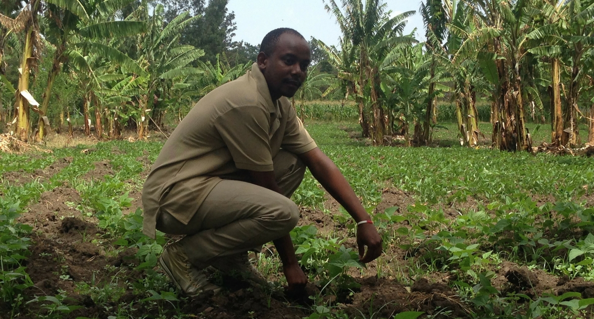 Tanzania Young farmer creates his own employment by starting bean
