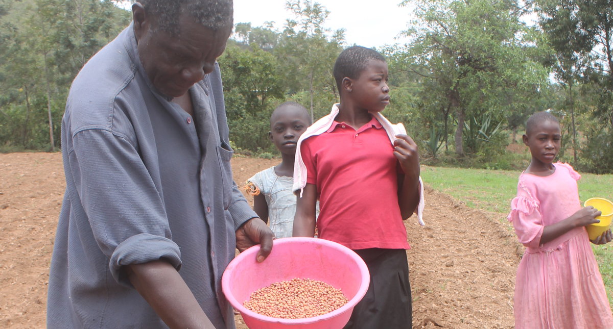 Kenya Farmers grow soya beans to manage striga Barza Wire