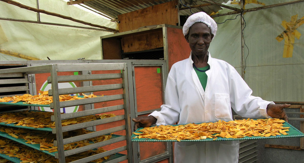 Kenya Farmers dry and process mangoes into valueadded products