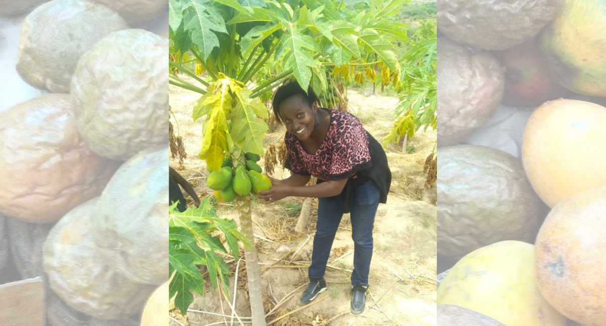 Kenya Resilient entrepreneur invests in pawpaw and passion fruit after
