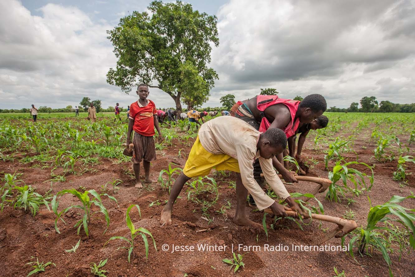 Ressources sur l’exode rural en Afrique subsaharienne  Barza Wire