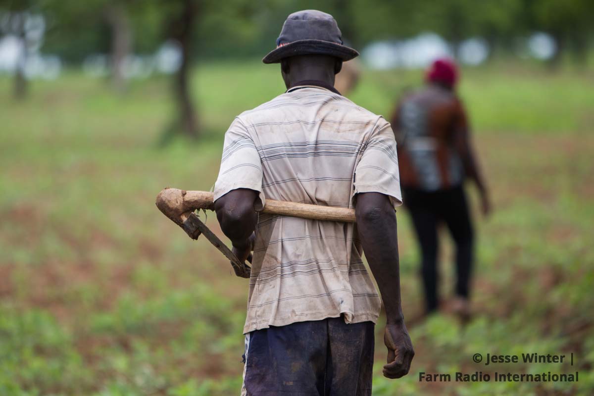 nigeria-covid-19-affects-farm-labourers-incomes-barza-wire