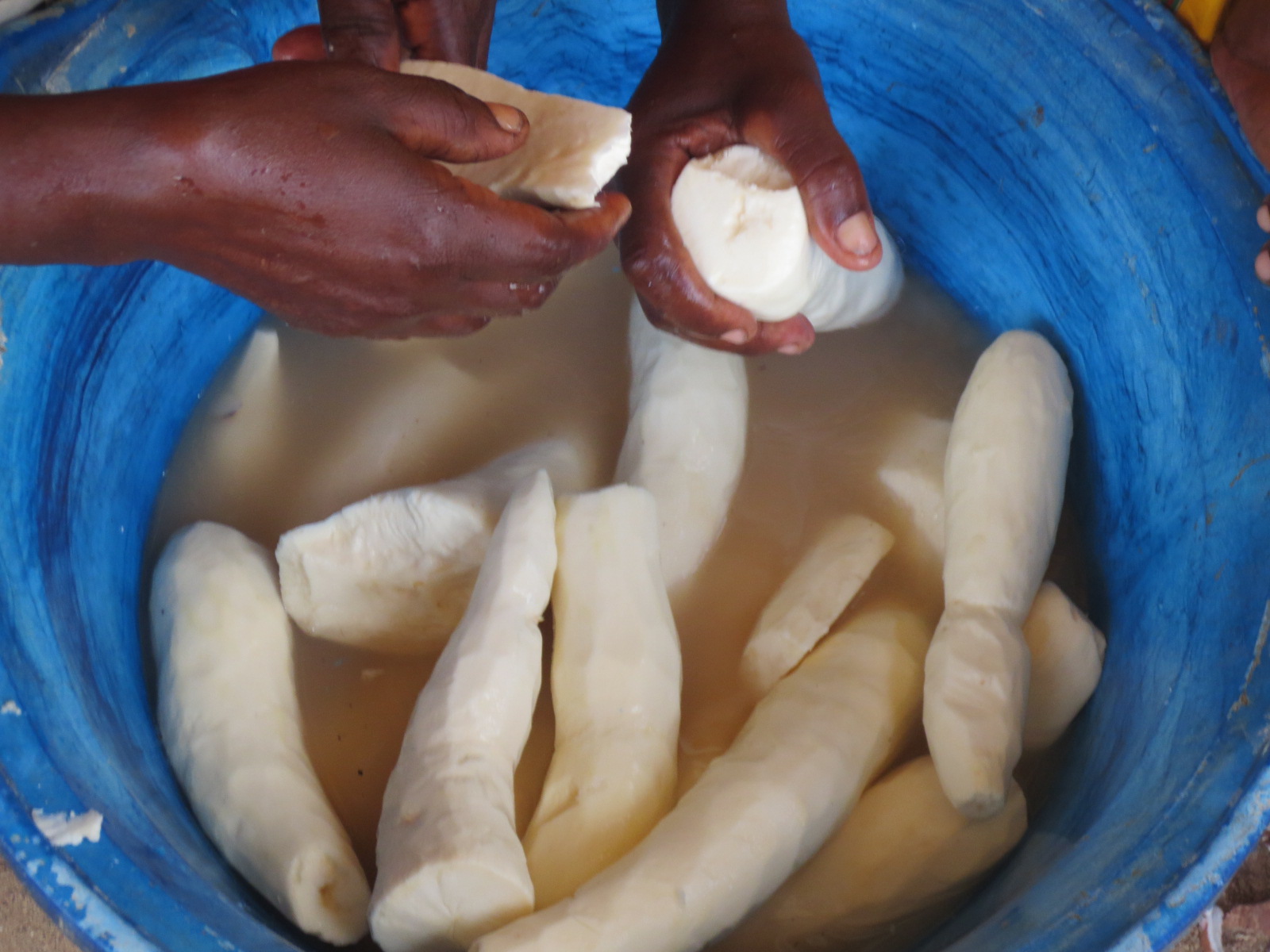 what-is-cassava-and-how-is-it-used